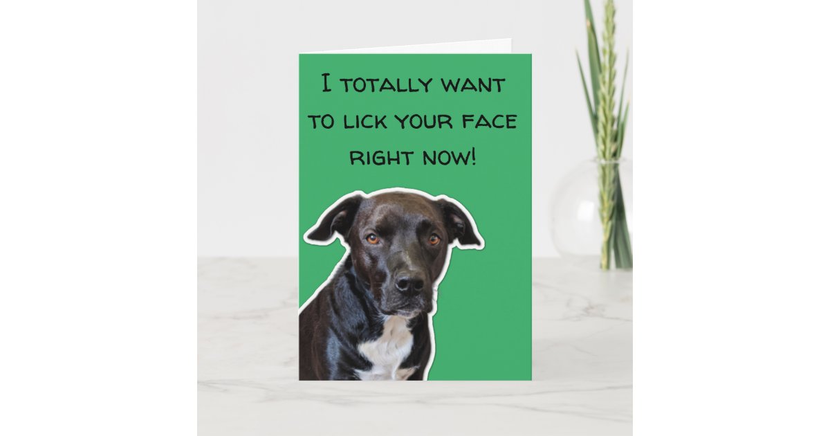 Funny Dog Lovers Thank You Card Zazzle