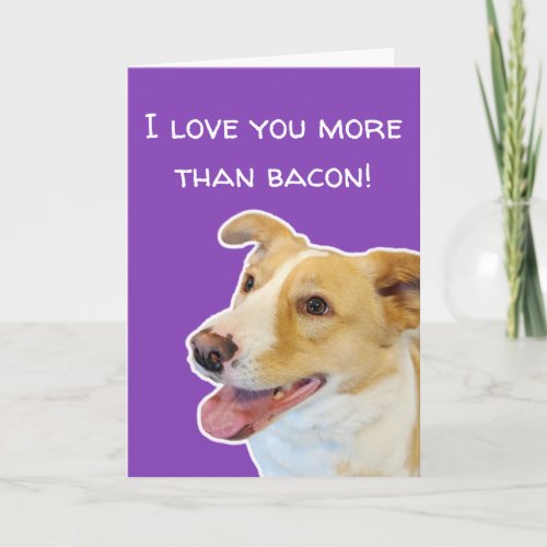 Funny Dog Lovers Valentines Day Card