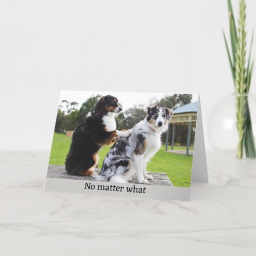 Funny Dog Massage Photo Holiday Card