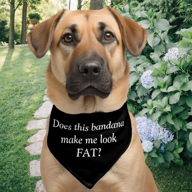 Funny Dog Message, Black Pet Bandana Collar (Creator Uploaded)