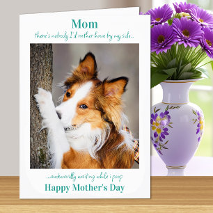 Funny Dog Mom Mother's Day Cute Dog Photo Card