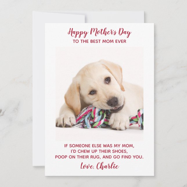 Funny Dog Mom Personalized Pet Photo Mothers Day  Holiday Card (Front)