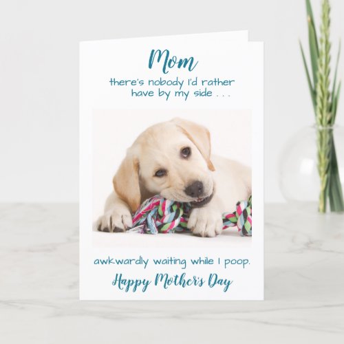 Funny Dog Mom Personalized Pet Photo Mothers Day  Holiday Card