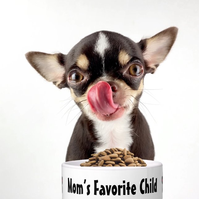 Funny Dog Mom’s Favorite Child paw prints pet food Bowl (Creator Uploaded)
