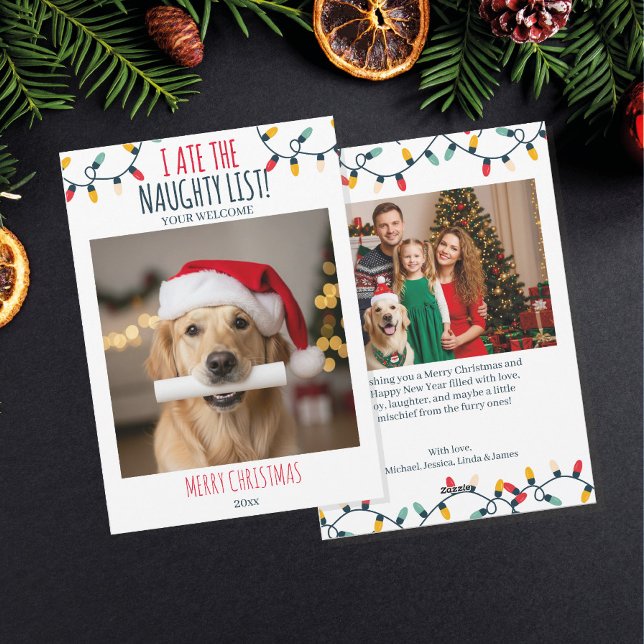Funny Dog Naughty List Custom Christmas Photo Holiday Card (Creator Uploaded)