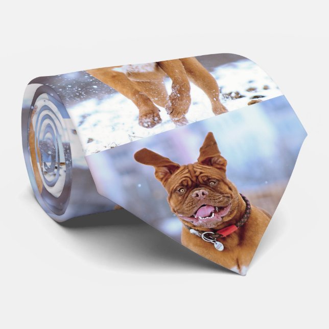 Funny Dog Neck Tie (Rolled)