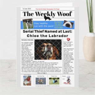 Funny Dog Newspaper Card