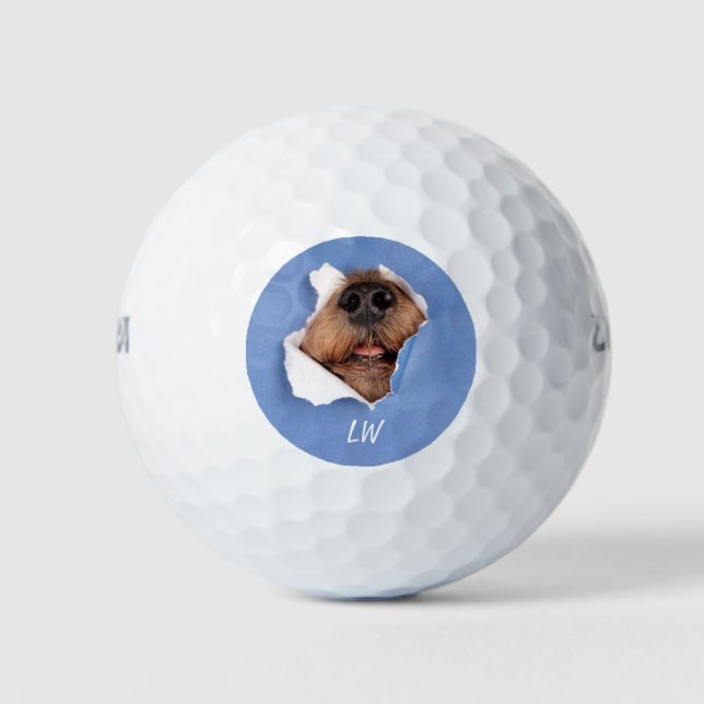 Funny Dog Nose Pet Humor Monogram Art Golf Balls (Front)
