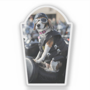 Funny dog on motorcycle with vest goggles photo sticker