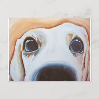 Funny Dog Painting Postcard