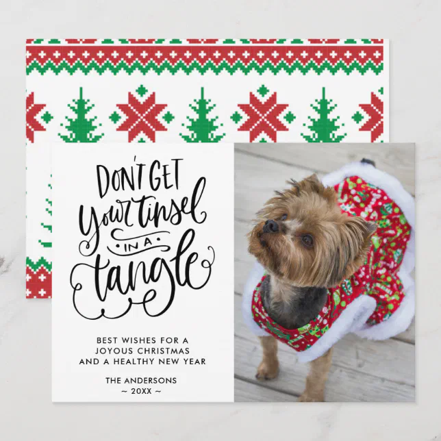 Funny Dog Pet Photo Christmas Holiday Card | Zazzle