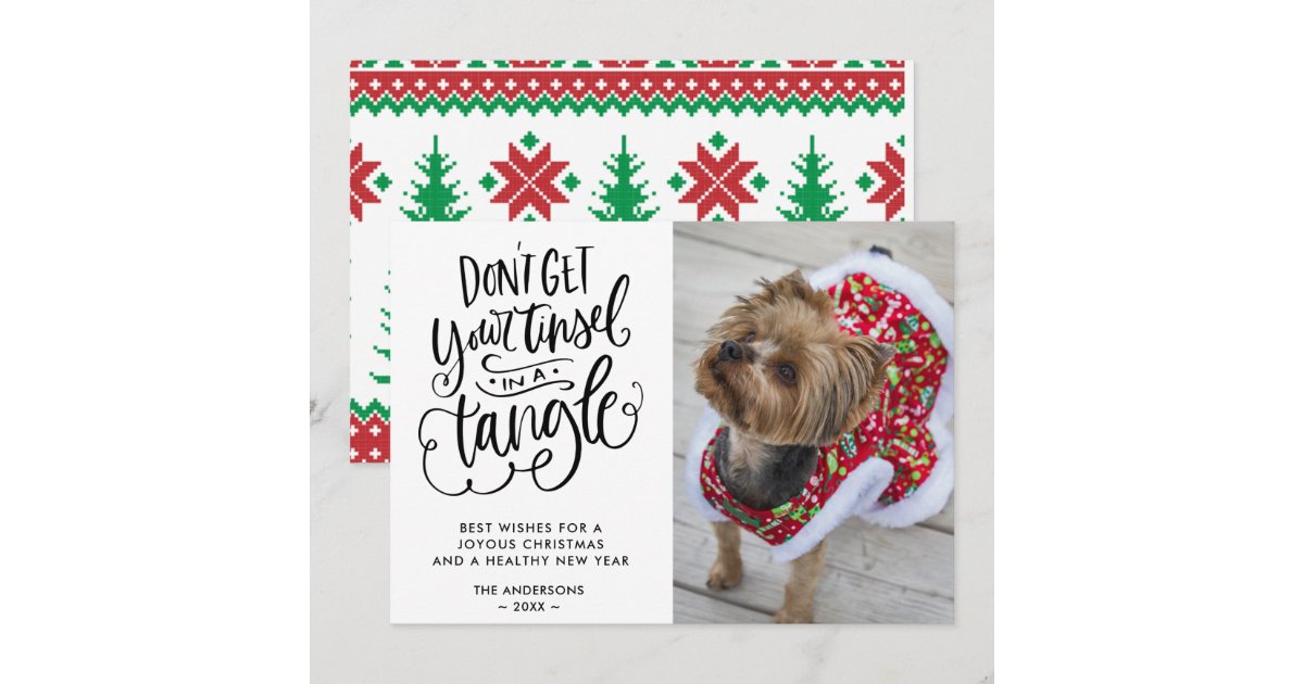 Funny Dog Pet Photo Christmas Holiday Card | Zazzle