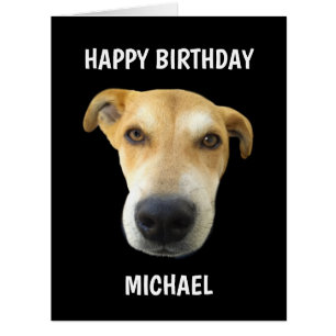 Funny Dog Photo Birthday Big Personalized Card