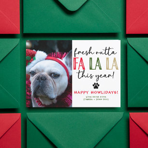 Funny Dog Photo Christmas Picture Custom Humorous Holiday Card