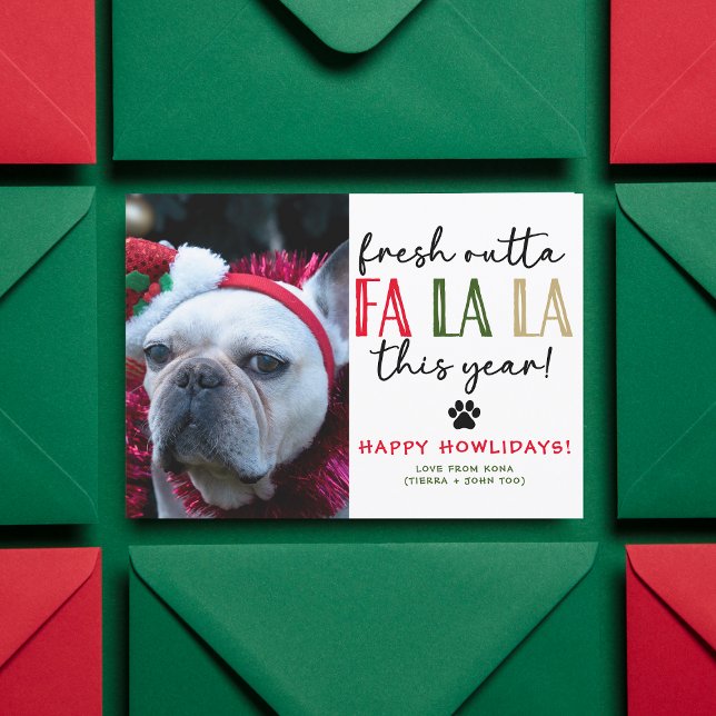 Funny Dog Photo Christmas Picture Custom Humorous Holiday Card (Creator Uploaded)