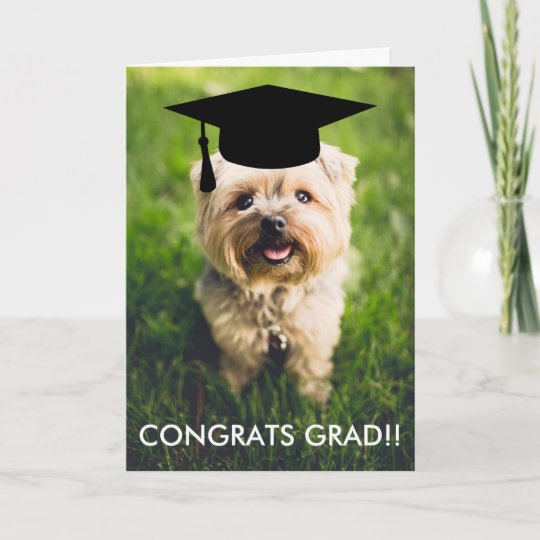 Funny Dog Photo Graduation Card, Custom Dog Photo Card | Zazzle.com