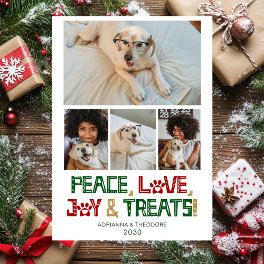 Funny Dog Photo Holiday Card