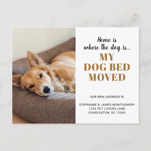 Funny Dog Photo Personalized Pet Moving Announcement Postcard