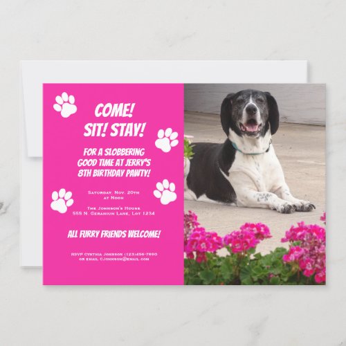 Funny Dog Photo Template Birthday Party Invitation