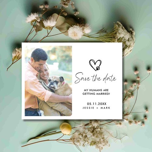 Funny Dog Photo Wedding Save the Date Announcement Postcard