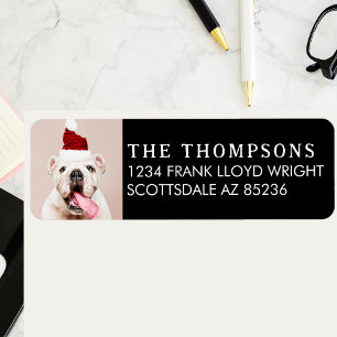 Funny Dog Picture Christmas Card Return Address Label