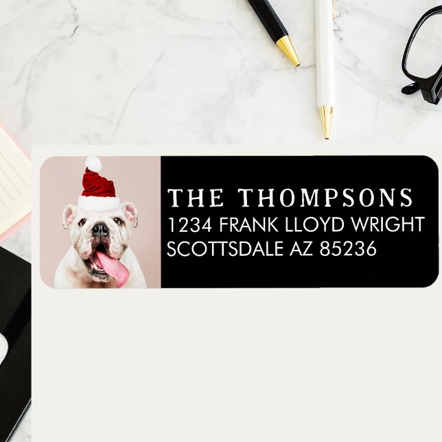 Funny Dog Picture Christmas Card Return Address Label (Creator Uploaded)