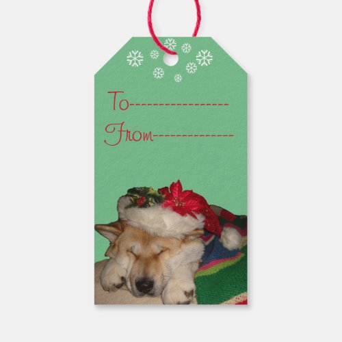 funny dog picture of cute akita at christmas gift tags