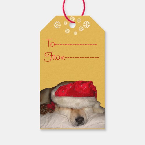 funny dog picture of cute akita for christmas gift tags