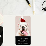 Funny Dog Picture Personalized Christmas Photo Label<br><div class="desc">Capture the essence of your furry friend's holiday charm with our Funny Dog Picture Personalized Christmas Photo Labels. These custom pet portrait stickers are the perfect way to add a touch of humor and warmth to your Christmas greetings. Simply upload your pet's photo, and we'll create a delightful black and...</div>