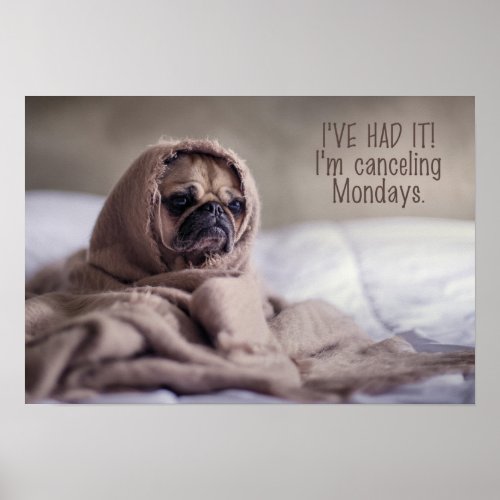 Funny Dog Poster