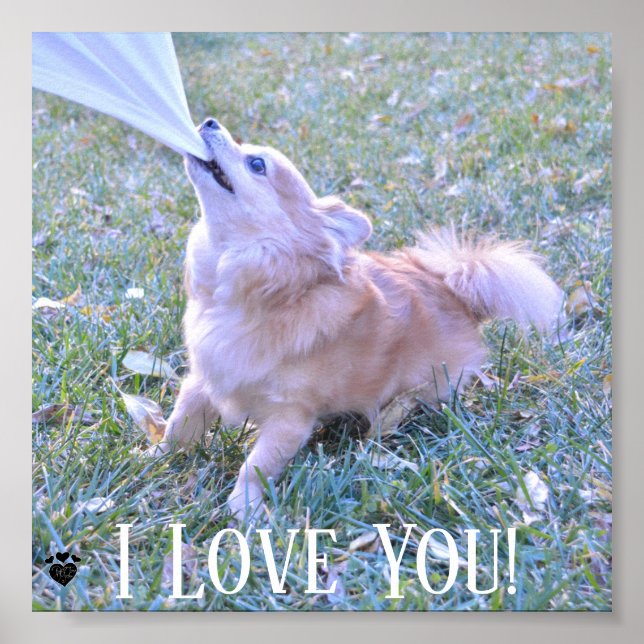 Funny Dog Pulling On Shirt Customized I Love You Poster (Front)