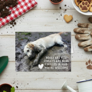 Funny Dog Puppy Valentine's Day Meme Cards