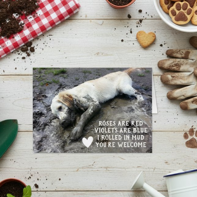 Funny Dog Puppy Valentine's Day Meme Cards (Creator Uploaded)