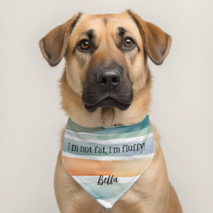Funny Dog Quote Fluffy Pet Scarf Cute Outfit Bandana Collar