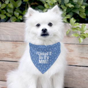 Funny Dog Quote Pet Bandana Collar
