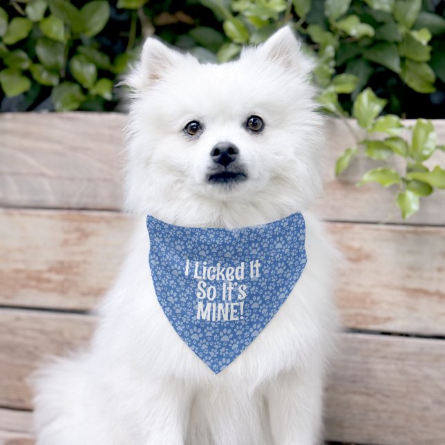 Funny Dog Quote  Pet Bandana Collar (Dog)