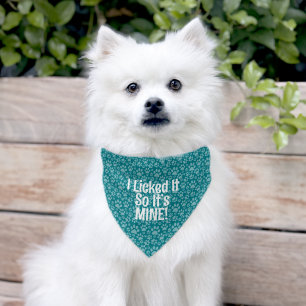 Funny Dog Quote  Pet Bandana Collar