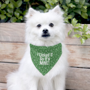 Funny Dog Quote Pet Bandana Collar