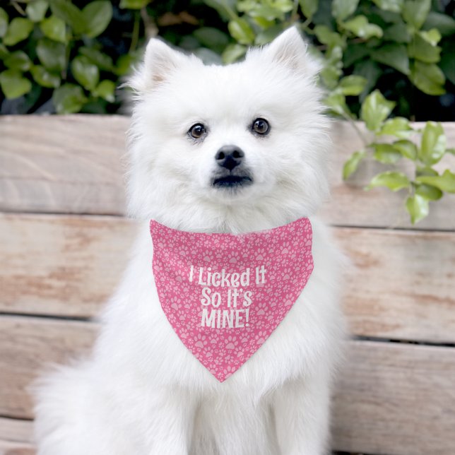 Funny Dog Quote  Pet Bandana Collar (Dog)