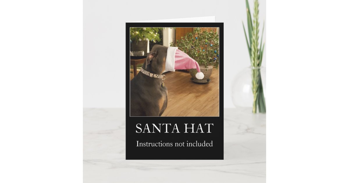 Funny dog Santa hat Christmas greeting card | Zazzle