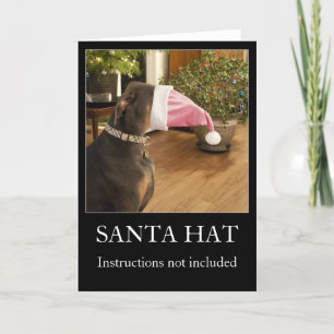 Funny dog Santa hat Christmas greeting card