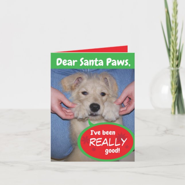 Funny Dog Santa Paws Holiday Folded Greeting Card (Front)