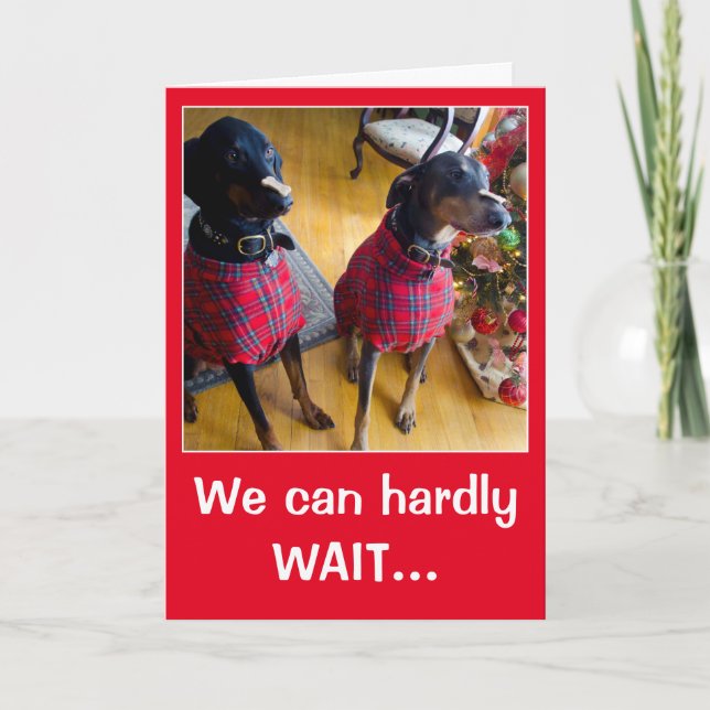 Funny dog Santa treat Christmas greeting card (Front)