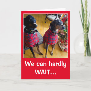 Funny dog Santa treat Christmas greeting card