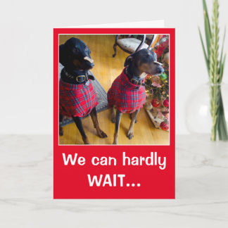 Funny dog Santa treat Christmas greeting card