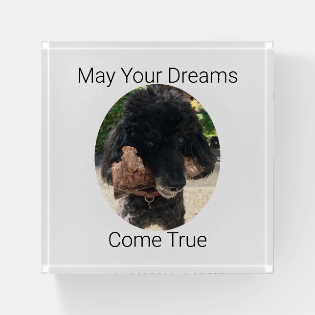Funny Dog Saying Paperweight (Front)