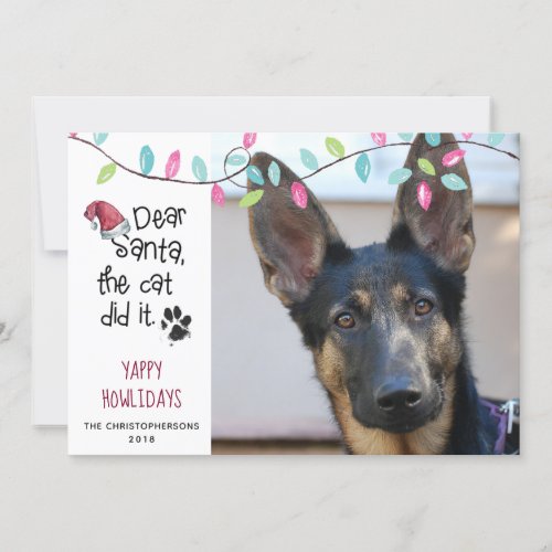 Funny Dog Saying  Pastel Lights  Photo Holiday Card