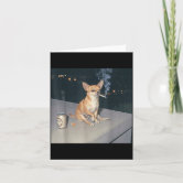 how can i get rid of cigarette smell How to Get Rid of Cigarette Smells in a House