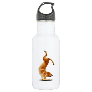 Funny dog stainless steel water bottle