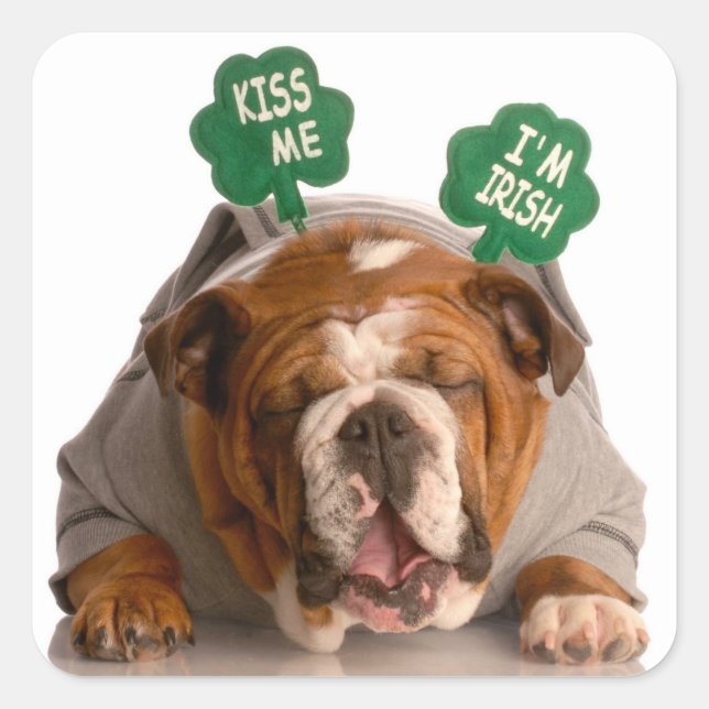 Funny Dog Stickers (Front)